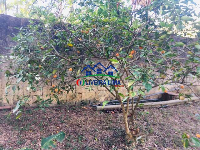Chácara para Venda em Mairiporã - 5
